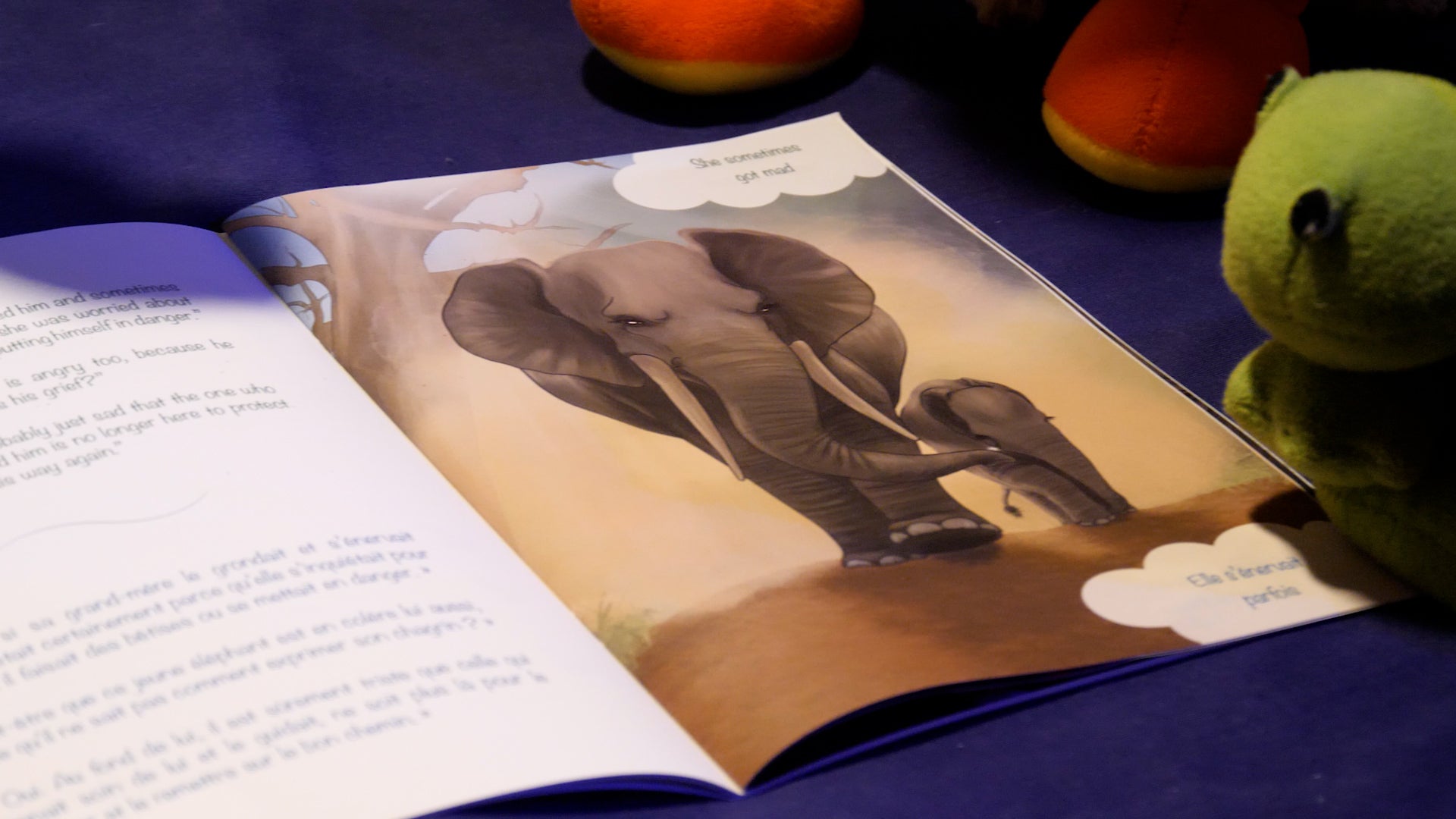 3 Coffrets éducatifs (Baleine, Lièvre, Hibou) + L’Économie Bleue 5.0